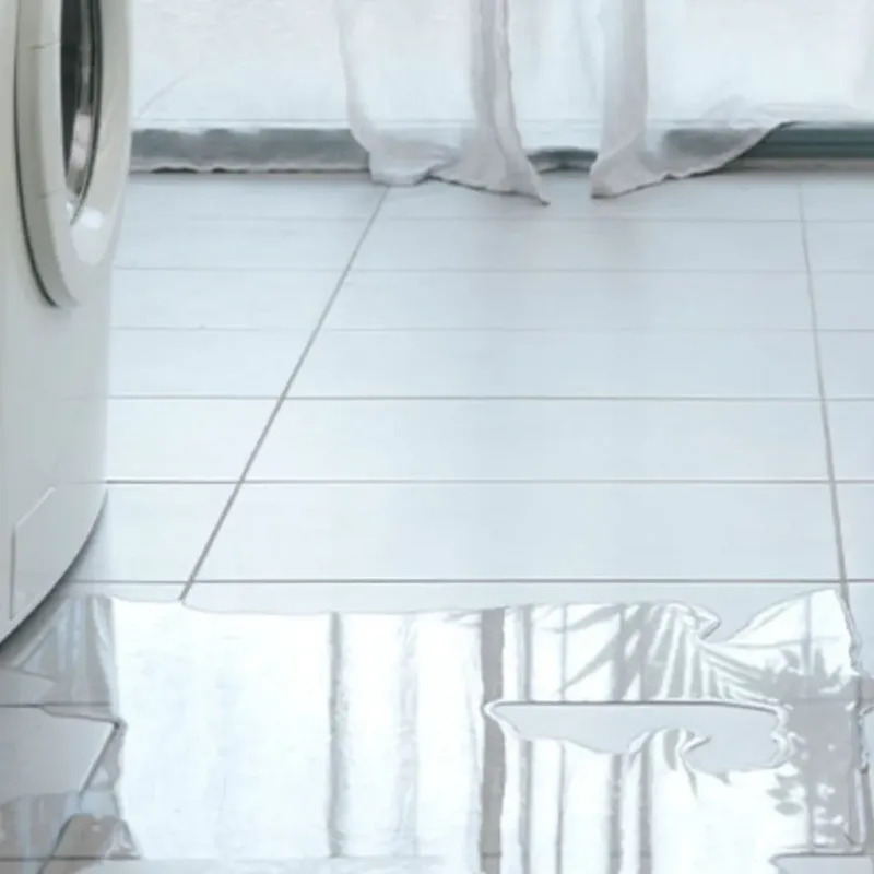 Appliance Leak Cleanup in King City, CA